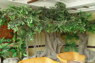 南寧假樹(shù)批發(fā) 專業(yè)的仿真榕樹(shù)供應(yīng)商推薦